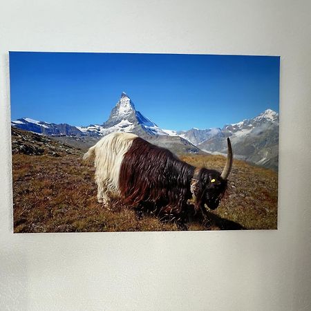 Haus Vira Appartement Zermatt Buitenkant foto