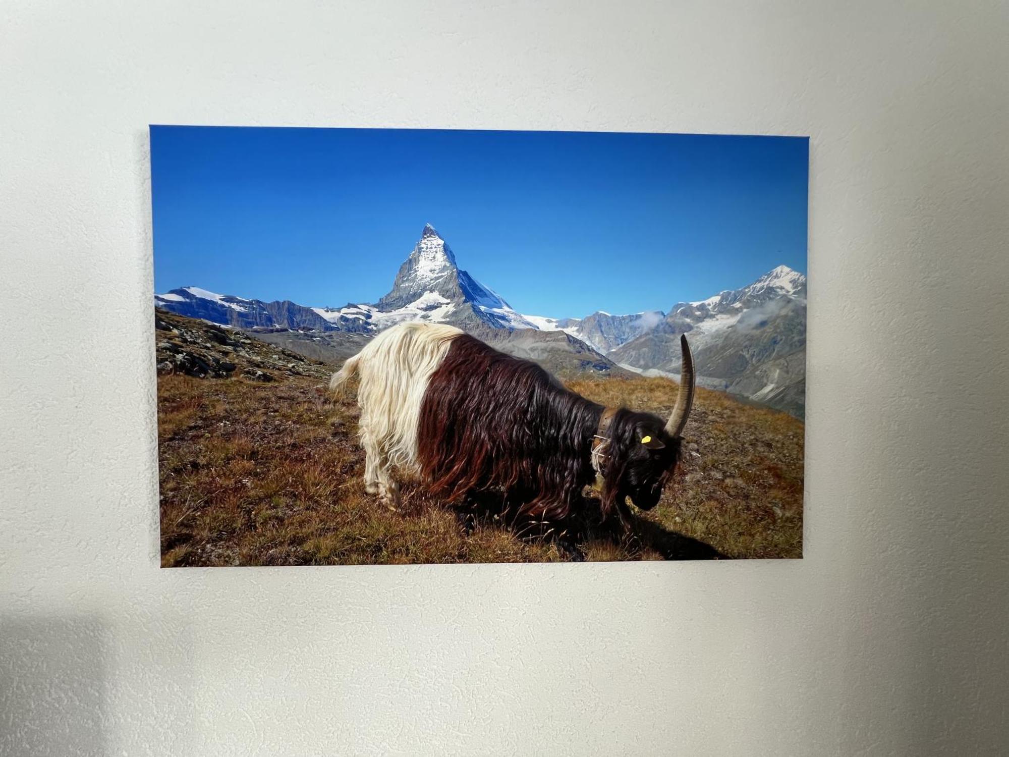 Haus Vira Appartement Zermatt Buitenkant foto